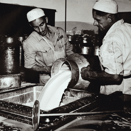 Vigor nossa historia 1917