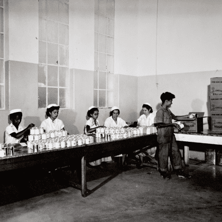 Vigor nossa historia 1920