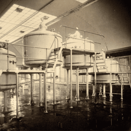 Vigor nossa historia 1937