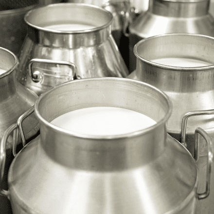 Vigor nossa historia 1985